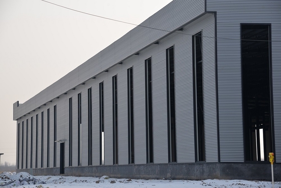 Il parco di logistica ha personalizzato la struttura d'acciaio Q235B ha prefabbricato il magazzino del metallo